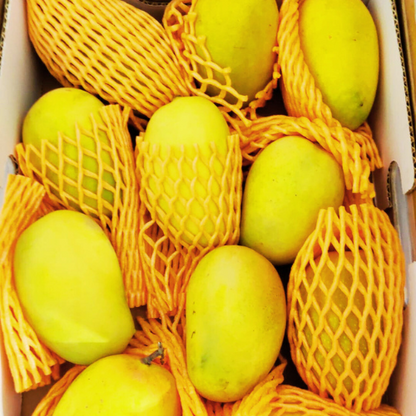 Buy Indian Mangos in New jersey