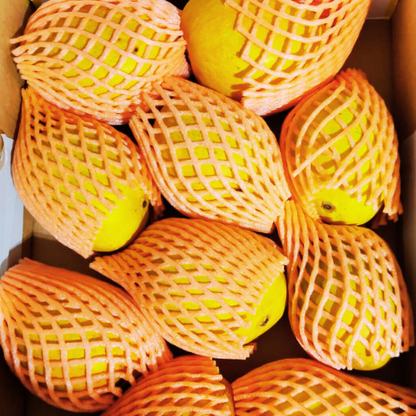 Buy online Indian Mangos in USA