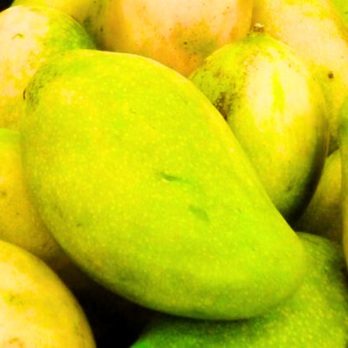 RAJAPURI Mango
