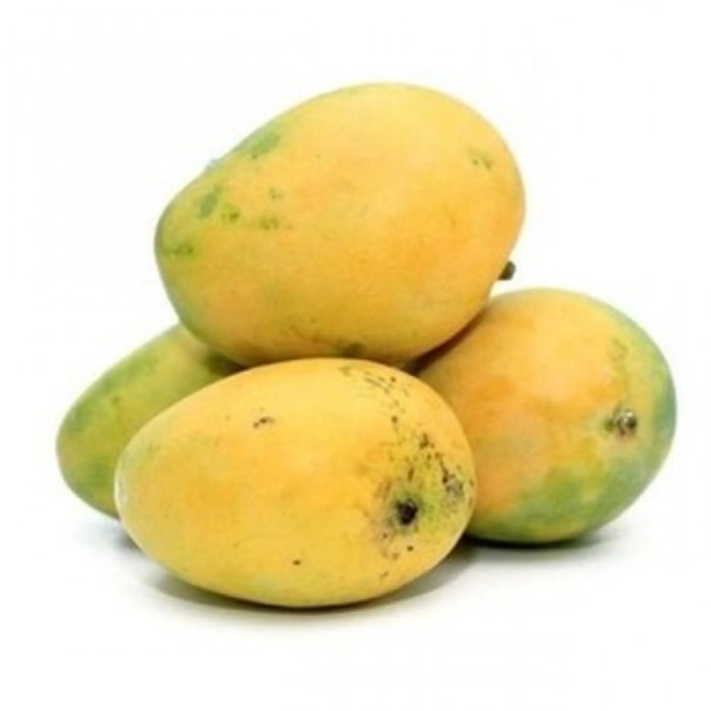 BANGANAPALLE Mango